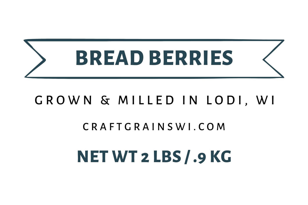 Bread Berries - Hard Red Spring Wheat