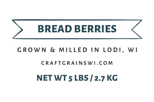 Bread Berries - Hard Red Spring Wheat
